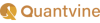 Quantvinees logotype