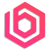 Bitnayrex logotype