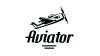Winmoneyaviator logotype