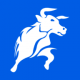 Black Bull Markets logotype