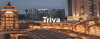 Tri Va logotype