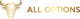 All Options logotype