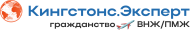 Kingstons Expert logo