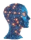 QuantMind logo