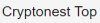 Cryptonest Top logotype