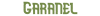 Garanel logo
