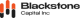 Blackstone Capital Inc logotype