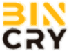 Binary AI Crypto logo