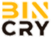 Binary AI Crypto logotype
