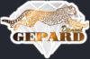 Diamond Gepard logotype