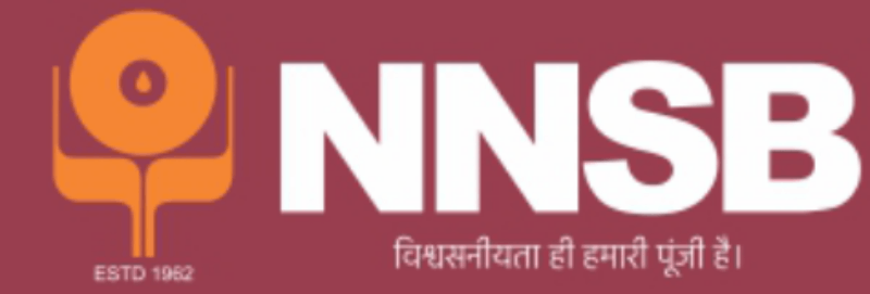 NNSB logo