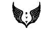 BVT Crypto Derivatives Exchange logotype