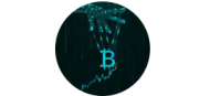 Зеркальная Торговля logo