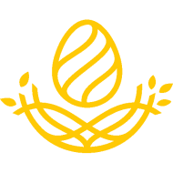 NestEx logo