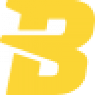 BTC Cash logo