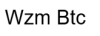Wzm Btc logo