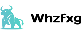 Whzfxg logo