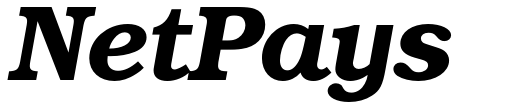 NetPays logo