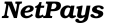 NetPays logo