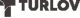 Turlov Family Office Securities logotype