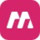Ms Jetus logotype