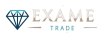Exame Group logo