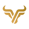 Capital Ventures logo