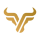 Capital Ventures logo