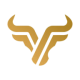 Capital Ventures logotype