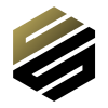 Деловые Стандарты logotype