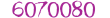 6070080 Online logo