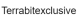 Terrabitexclusive logotype
